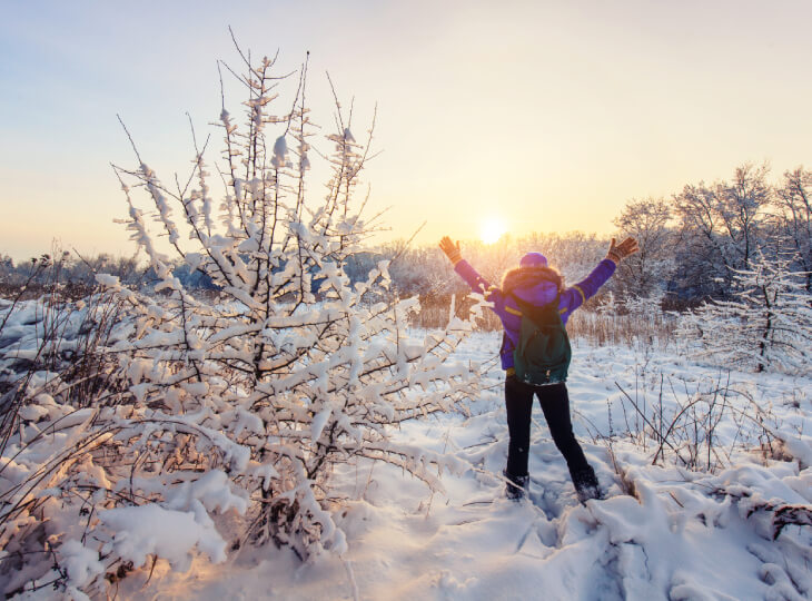 Tourists are walking in the winter forest.