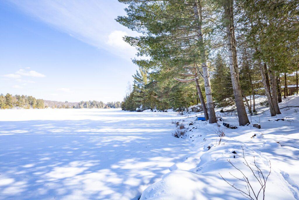 Cottage 638 for Rent on Crego Lake near Kinmount in Kawarthas Ontario