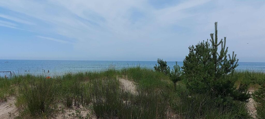 Cottage #1244
