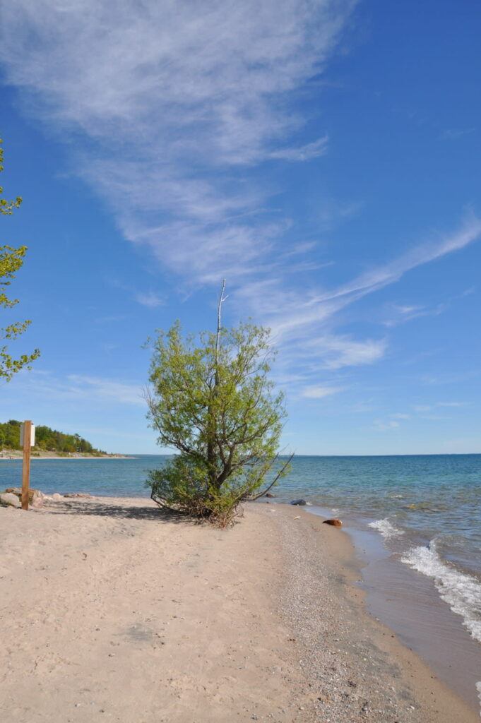 Cottage 727 for Rent on Bay near in